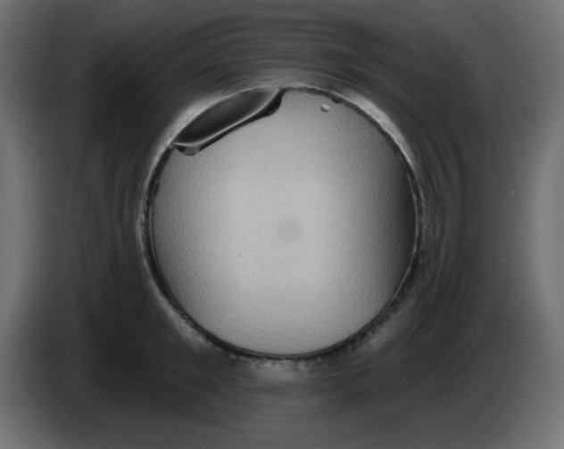 X0000083570901200703021743