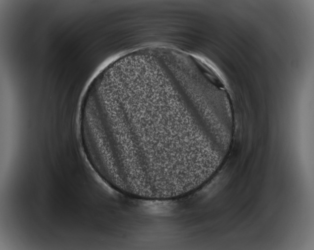 X0000083570902200703021743