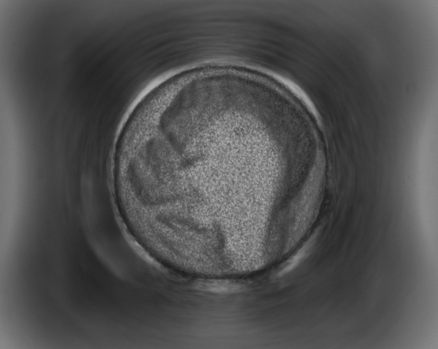 X0000083570903200703021743