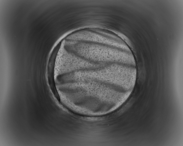 X0000083570904200703021743