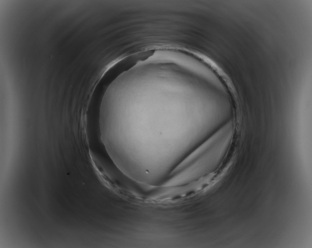 X0000083570905200703021743