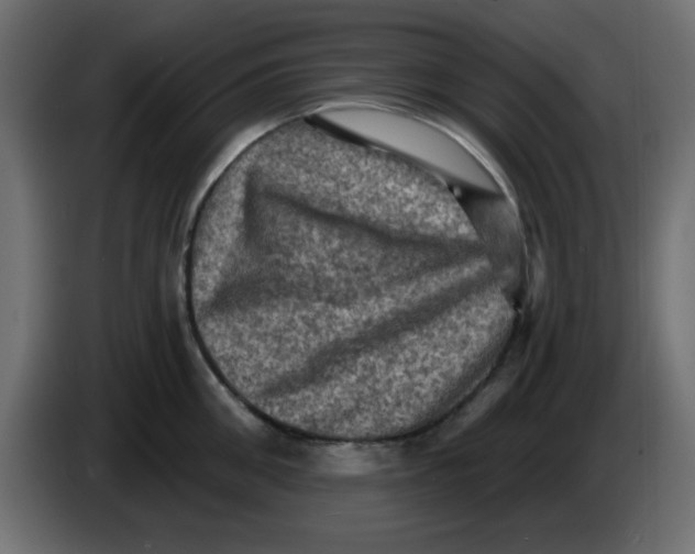 X0000083570906200703021743