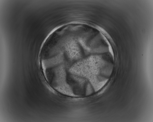 X0000083570908200703021743