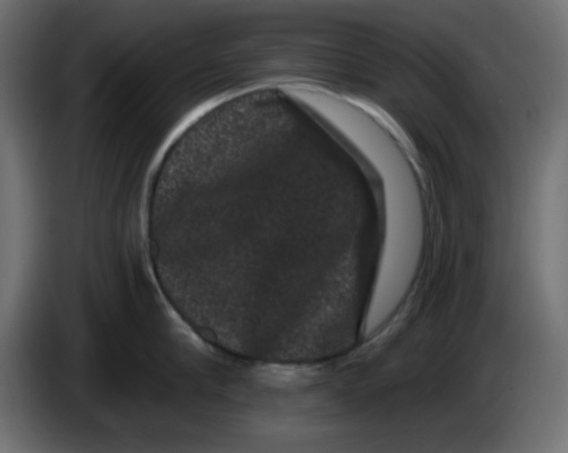 X0000083570910200703021743