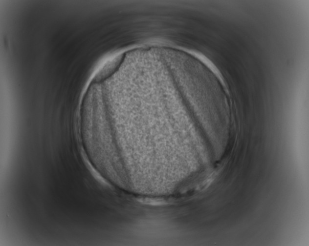 X0000083570911200703021743