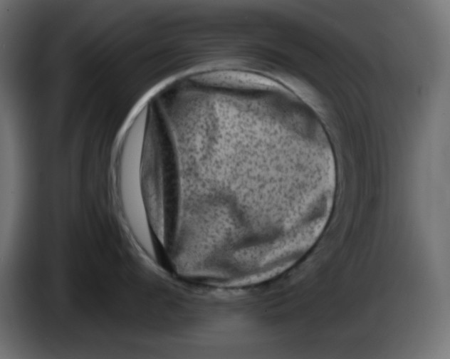 X0000083570912200703021743