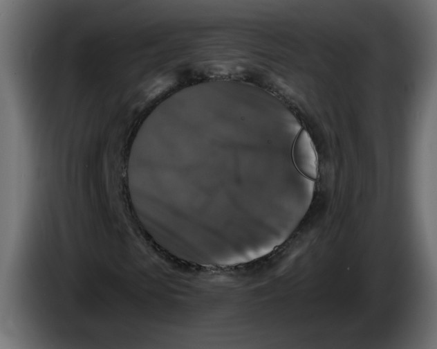 X0000083570913200703021742