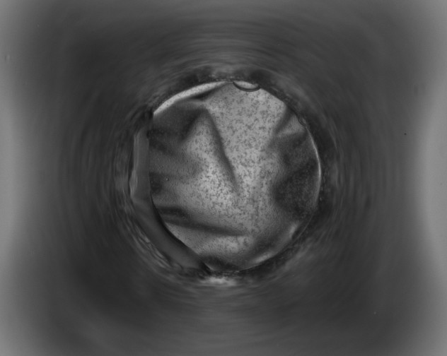 X0000083570914200703021742