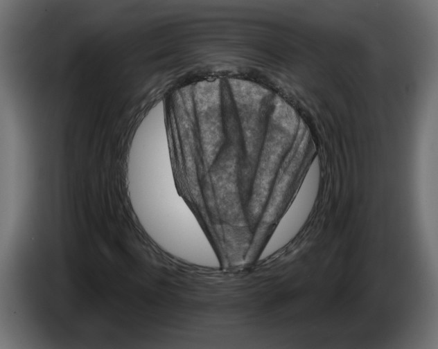 X0000083570916200703021742