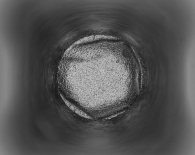X0000083570917200703021742