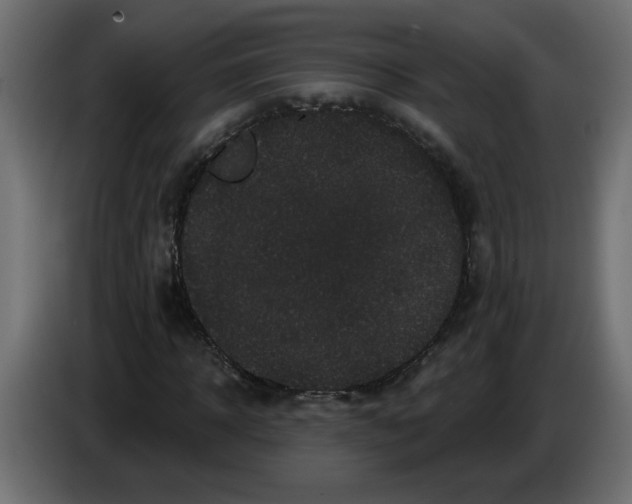 X0000083570918200703021742