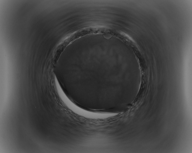 X0000083570919200703021742