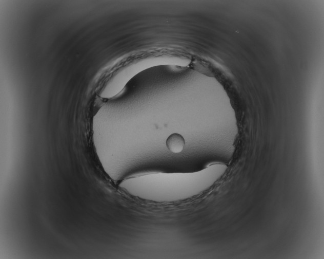 X0000083570920200703021742