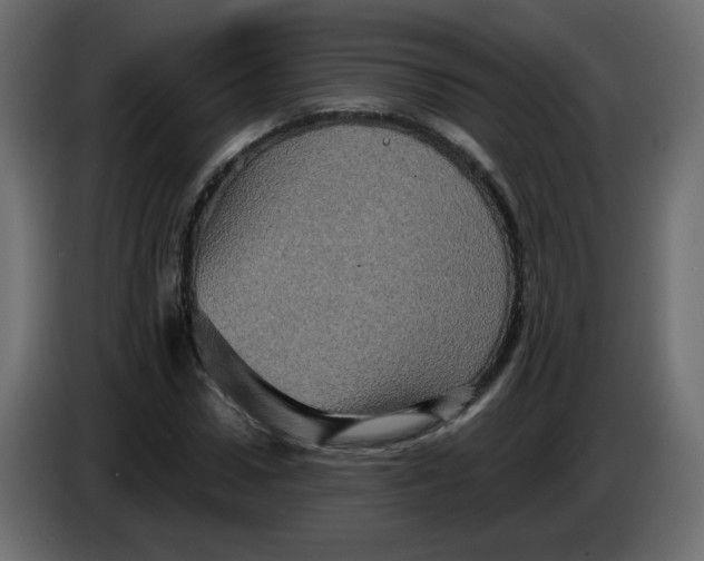 X0000083570922200703021743