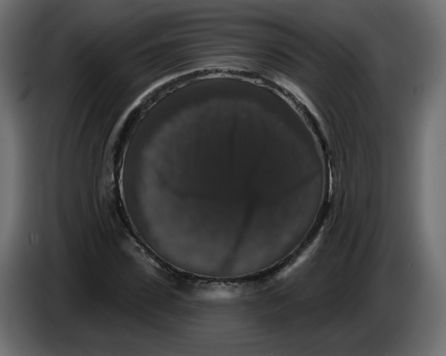 X0000083570923200703021743