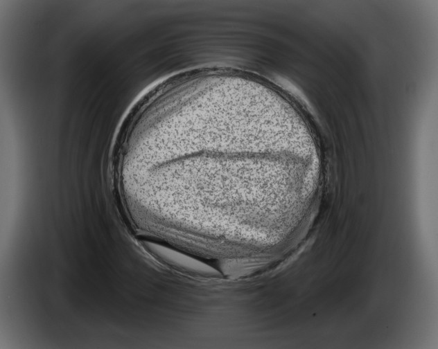 X0000083570924200703021743