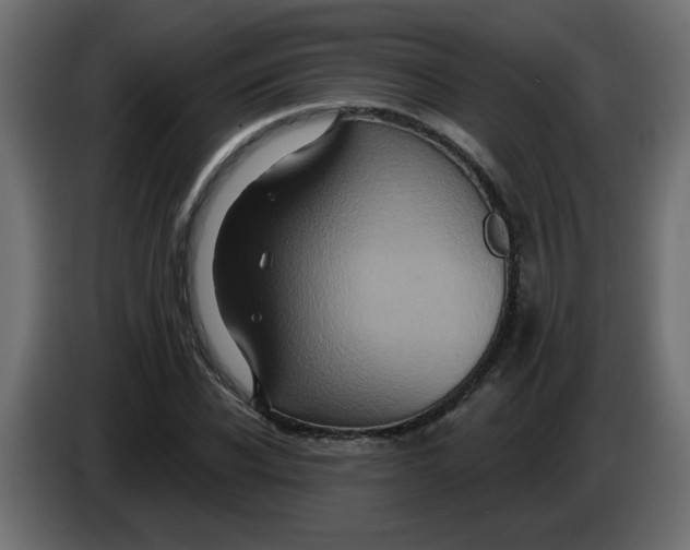 X0000083570926200703021743