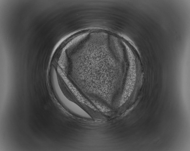 X0000083570928200703021743