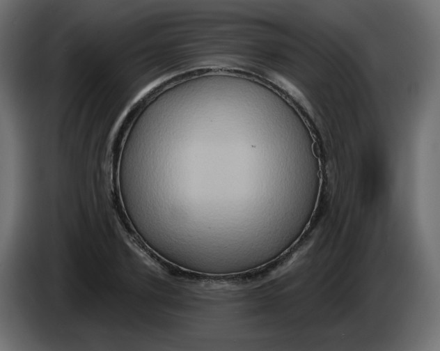 X0000083570931200703021743