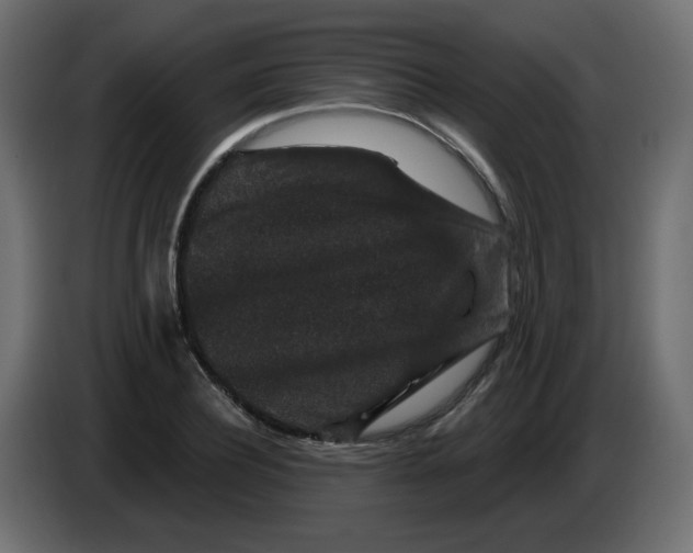 X0000083570932200703021743