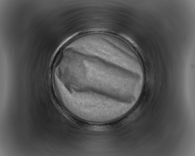 X0000083570933200703021743
