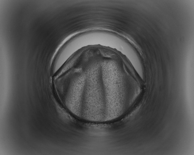 X0000083570934200703021743