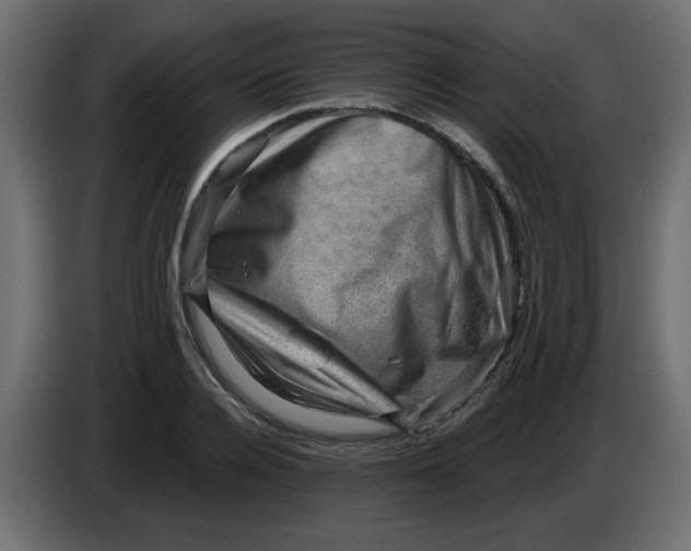 X0000083570936200703021743