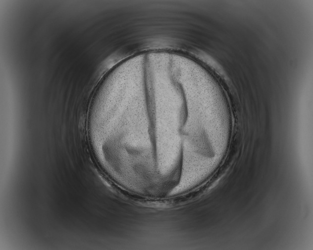 X0000083570937200703021743