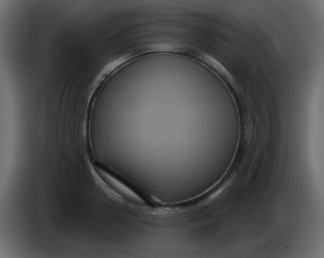 X0000083570938200703021743