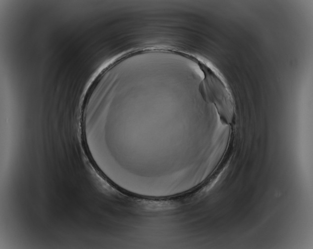 X0000083570941200703021743