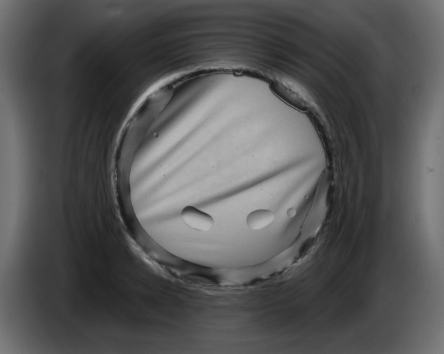 X0000083570942200703021743