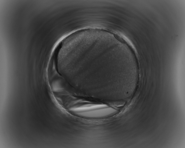 X0000083570944200703021743