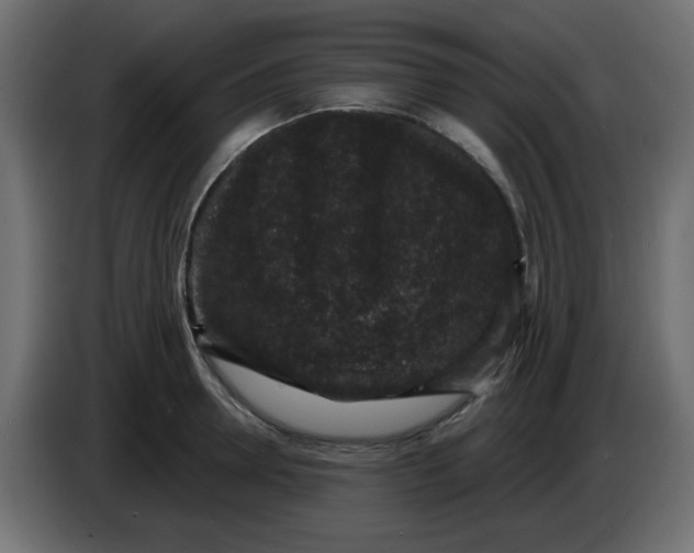X0000083570946200703021743