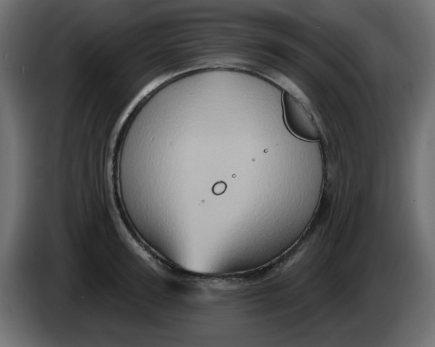 X0000083570947200703021743