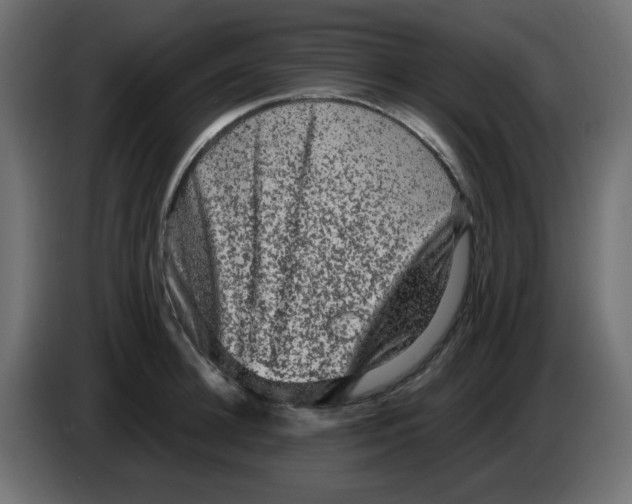 X0000083570948200703021743