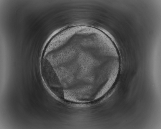 X0000083570949200703021743