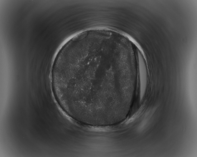 X0000083570951200703021743