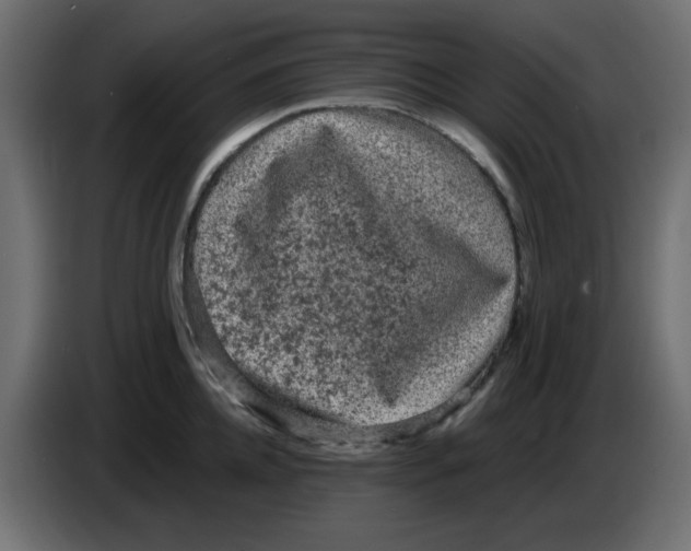 X0000083570952200703021743