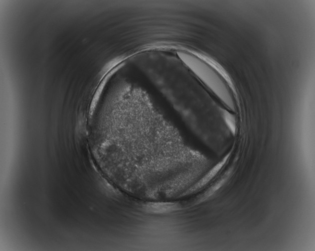 X0000083570953200703021743
