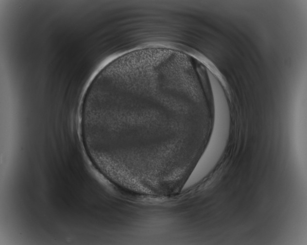 X0000083570955200703021743