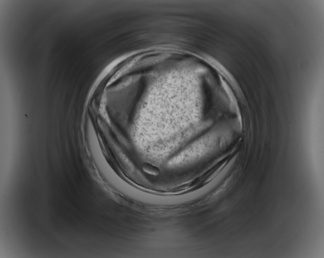 X0000083570956200703021743