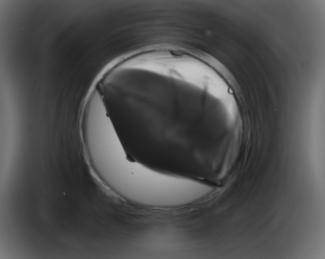 X0000083570958200703021743