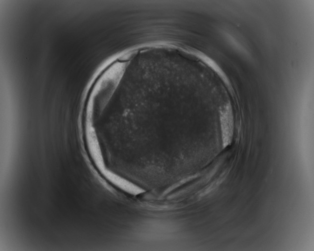 X0000083570959200703021743