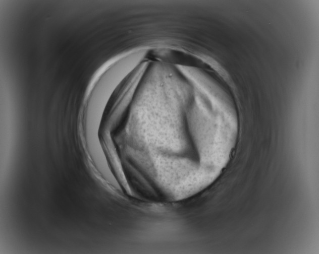 X0000083570960200703021743