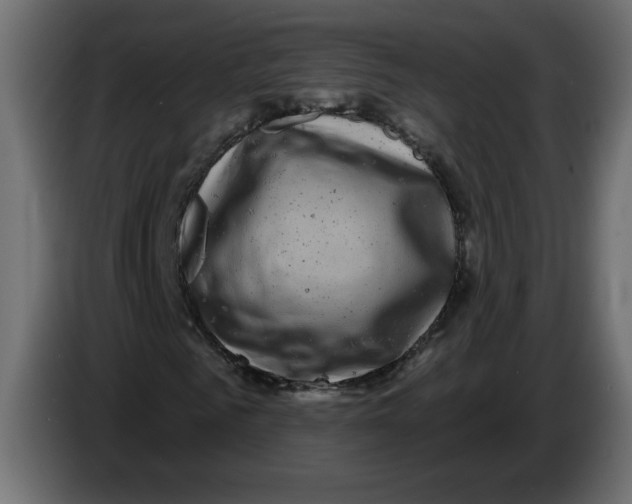 X0000083570961200703021742