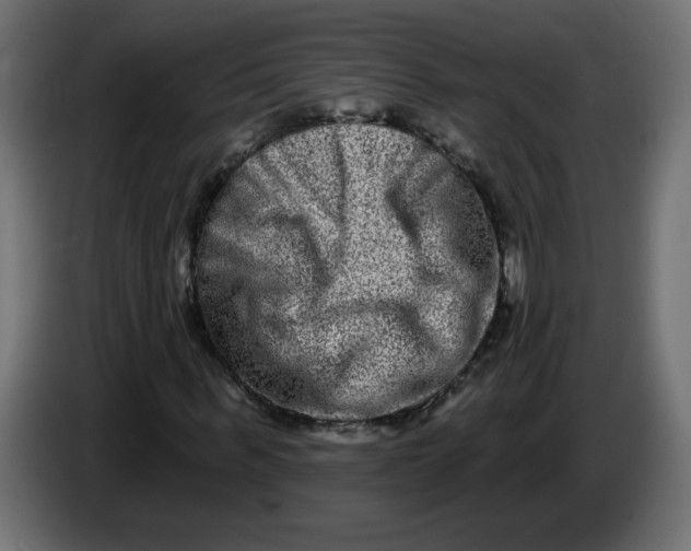 X0000083570963200703021742