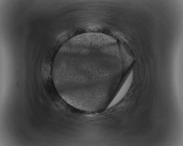X0000083570964200703021742