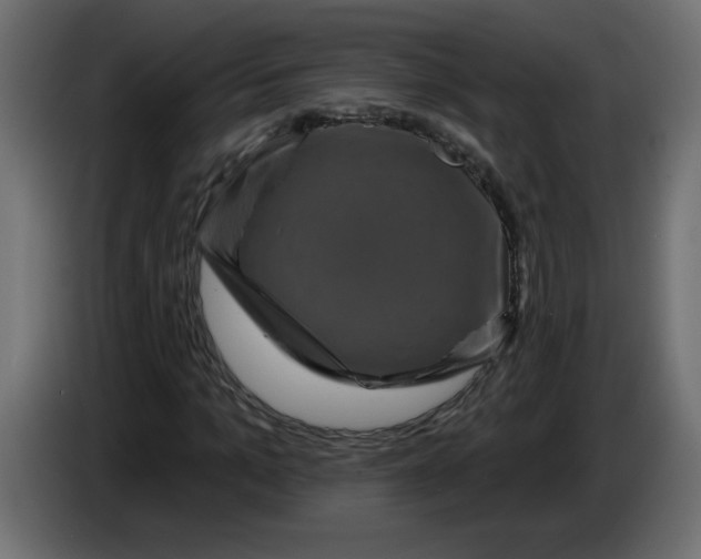 X0000083570965200703021742