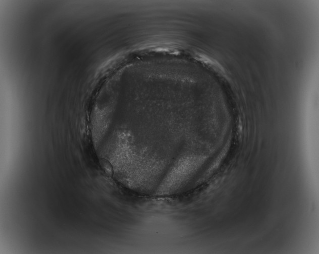 X0000083570966200703021742