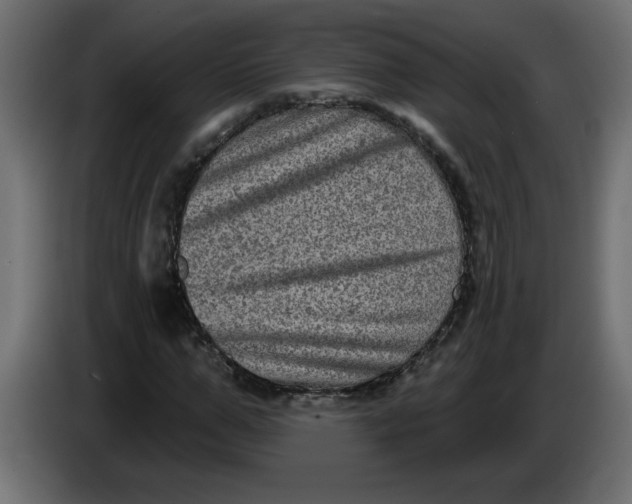 X0000083570967200703021742